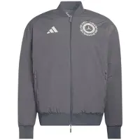 Adidas Veste de sport 'Mercedes-Amg Petronas Formula 1 Team' graphite / gris clair / blanc