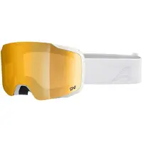 Alpina Masque de ski
