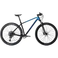 Wolfbike Saturnus 29´´ Sx Eagle Mtb Bike Bleu 19