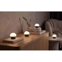 Northpoint Mushroom Lounge Lights : lampes LED en forme de champignon avec station de recharge USB-C et batterie intégrée, IP44, gris