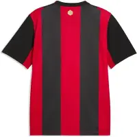 Puma Maillot 'AC Milan 2026/27' rouge / noir / blanc
