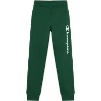 Champion Pantalon vert foncé / blanc