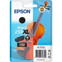 Epson Singlepack Noir 250XL avec étiquette RF/AM