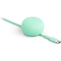 TwelveSouth Twelve South CableStay USB-C Kabel, Mint, 60W, 1,5m (1.50 m, 60 W)