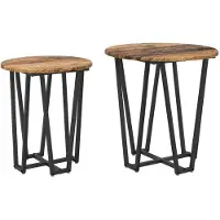 vidaXL Ensemble de tables d'appoint 2 pcs Bois ancien et noir