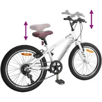 vidaXL VTT 20 pouces 6-vitesse pour 5-8 ans Blanc
