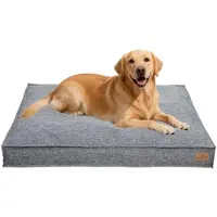 Bingopaw WISFOR Lit pour chien, canapé pour chien, coussin pour chien, antidérapant, housse amovible et lavable, 2XL : 118 x 89 x 12 cm, gris