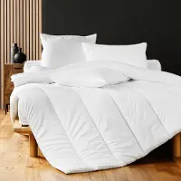 Dynamic24 Couette Premium pour personnes allergiques 140x200cm microfibre couette Inlet couverture couverture