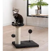 Dynamic24 Arbre à chat, arbre d'escalade, sisal, griffoir pour chat, jouet, poteau à griffer, jeux pour chats