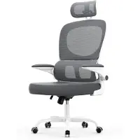 Zaisze Chaise de bureau ergonomique avec appuie-tête et accoudoirs réglables, dossier inclinable à 120°, soutien lombaire auto-ajustable, gris foncé
