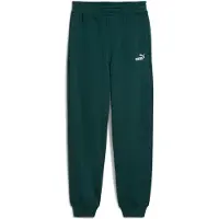 Puma Femmes, Bas de sport, ESS Small No. 1 Logo Comfort Sweatpants cl FL (s) (M), Vert