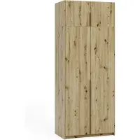Margaret Hadas24 Armoire APOLLONIA I sans miroir, armoire à portes battantes, style moderne, armoire, grand espace de rangement 100 x 250 cm (artisan, poignées noires)