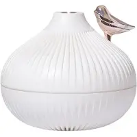 Typecat Humidificateur d'air à LED portable de 300 ml, petit diffuseur d'arômes à vapeur