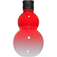Tlily Bouteille de Gourde D'Inspiration Rétro Chinoise 900 Ml Bouteille D'Eau de Sport en Gourde Bouteille D'Eau de Capacité, H