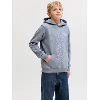 Jack & Jones Norrebro Typo Hoodie Gris 14 Years Garçon