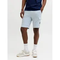 Jack & Jones Pantalon cargo 'JPSTGorden Alliance' bleu marine / bleu ciel