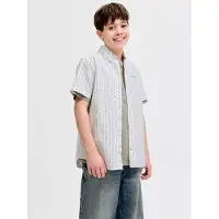 Jack & Jones Junior Chemise 'JJDevin' vert pastel / blanc
