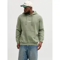 Jack & Jones Soho Plus Size Hoodie Vert 4XL / Regular Homme