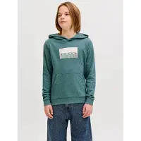 Jack & Jones Sweatshirts à capuche JCOFUSION GRAPHIC SWEAT garcons - Bleu - 15 ans