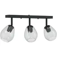 vidaXL Spot de plafond noir 54 x 13 x 26 cm verre et métal