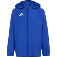 Adidas Entrada 26 Multi Jacket Bleu 11-12 Years Enfants