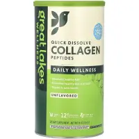 Great Lakes Wellness , Peptides de Collagène à Dissolution Rapide, Bien-être Quotidien, Non Aromatisé, 16 oz (454 g)