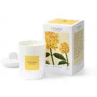 Pure Living Theorie Botanique Candle 50 hours - ODERANT VERVAIN