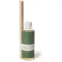 Illume Bougie boîte à sauge Hinoki verte