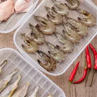 Torribaly Lot de 6 boîtes hermétiques pour conserver le bacon et la viande froide avec couvercle