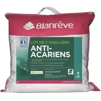 Blanreve Coussins Carrés Blanreve Blanc (Lot de 2) - 60 x 60 cm