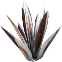 TAUOH Sculpture rustique en tequila, plante d'agave en métal à faire soi-même, 55 cm