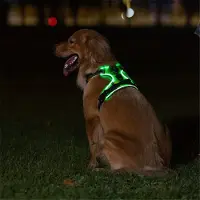 Jojomino Harnais lumineux pour chien avec sangle de poitrine réglable, taille M