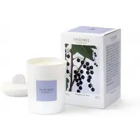 Pure Living Theorie Botanique Candle 50 hours - BUDLING OF CASSIS
