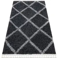 Rugsx Tapis UNION 3482 Treillis gris Franges berbère marocain shaggy 120x170 cm