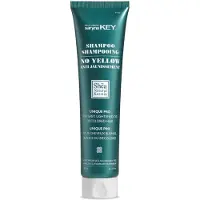 Saryna Key Shampoing anti-jaunissement (180 ml/6,33 oz)