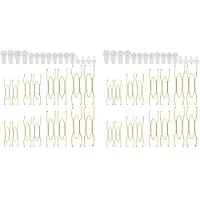 Melitt 32x Cintres pour Assiettes pour le Mur 6 8 10 12 Pouces, Cintres pour Assiettes Murales Cintres pour Assiettes Décoratifs Supports pour Assiettes