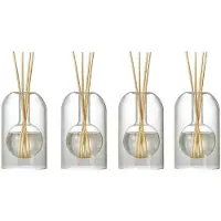 Melitt 4X Conteneurs de Stockage Bouteilles de Diffuseur Bouteille de Diffuseur D'Aromathérapie Bouteille de Verre de Diffuseur Moderne Organisateurs
