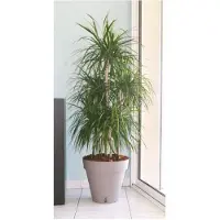 Riviera Pot de Plante Circulaire en Plastique Riviera Brun Taupe Ø 50 cm