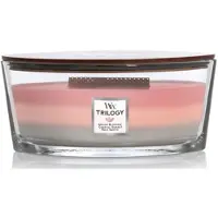 Woodwick Bougie parfum e Ellipse Shoreline Trilogy 473 ml | Dur e de combustion : jusqu' 50 heures, multicolore, 3 versements