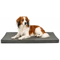 Lionto Matelas pour chiens orthopédique, surface de couchage en mousse à mémoire de forme qui soulage la pression, dessous antidérapant & housse amovible, 80x55 cm, gris