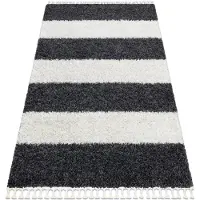 Rugsx Tapis UNION 4079 Rayures gris et crème Franges berbère marocain shaggy 160x220 cm