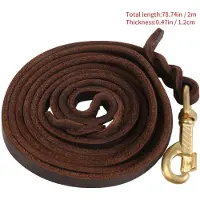 Torribaly Collier de traction en cuir tress? pour chien de compagnie, 2 m de long, laisse d'entra?nement
