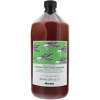 Davines Natural Tech Renewing Conditioning Treatment 1000 ml