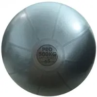 Fitness-Mad Ballon de gymnastique Studio Pro Gris 500 kg Ballon suisse 65 cm seulement