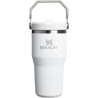 Stanley Gobelet IceFlow 2.0 Flip Straw avec poignée, 590 ml | Couvercle à visser et paille rabattable | Bouteille d'eau étanche | Acier inoxydabl