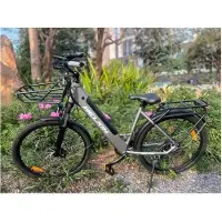WELKIN Vélo Électrique - - WKEM002 - 500W - 36V 15Ah - Cadre 27.5 pouces