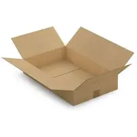 RAJA 10 cartons d'emballage 55 x 35 x 10 cm - Simple cannelure