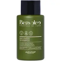 Alfaparf Milano Benvoleo Recovery Shampooing For Dommaged Hair - Clean Vegan Sustainable Care - Sulfate Sulfate Free Shampooing - Repailes Recons