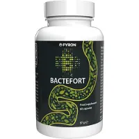 Fyron Group B.V. Bactefort - 60 gélules