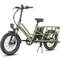 Fafrees FF20 CUV - Vélo cargo électrique - 250 W - 48 V - 24 Ah - Moyeu 20 pouces - Vitesse maximale 25 km/h - Vert